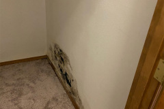 Mold in closet